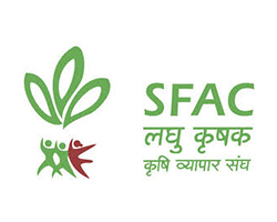 safc logo