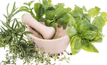 Medicinal Crops