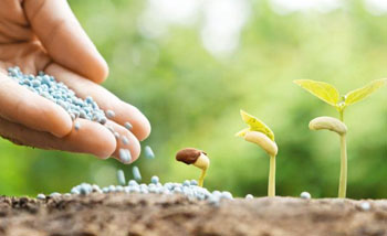 Agri Input