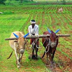 Farmers Industry Campaigns