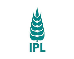 ipl logo