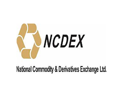 ncdex logo