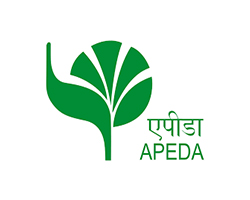 apeda logo