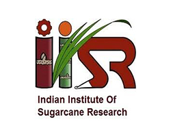 iisr logo